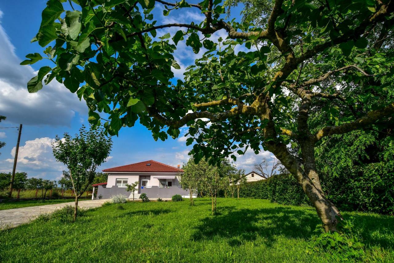 Ankin Dvor Villa Galovac  Exterior photo